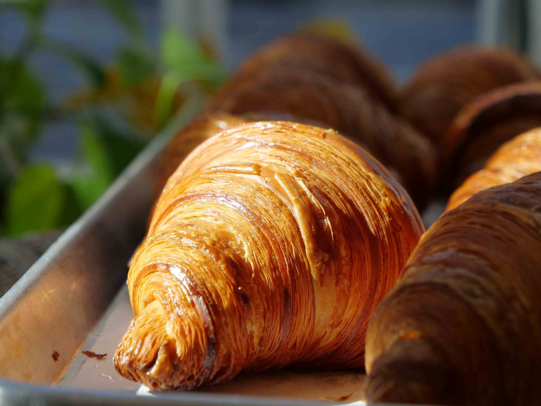 Butter Croissant at Jack's Bakehouse located in the Carnegie Centre Building in Downtown Oklahoma City.